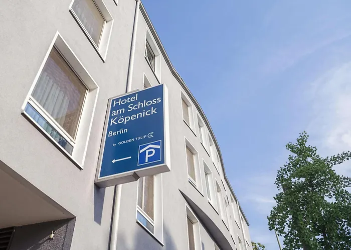 金郁金香克佩尼克北欧酒店 3*