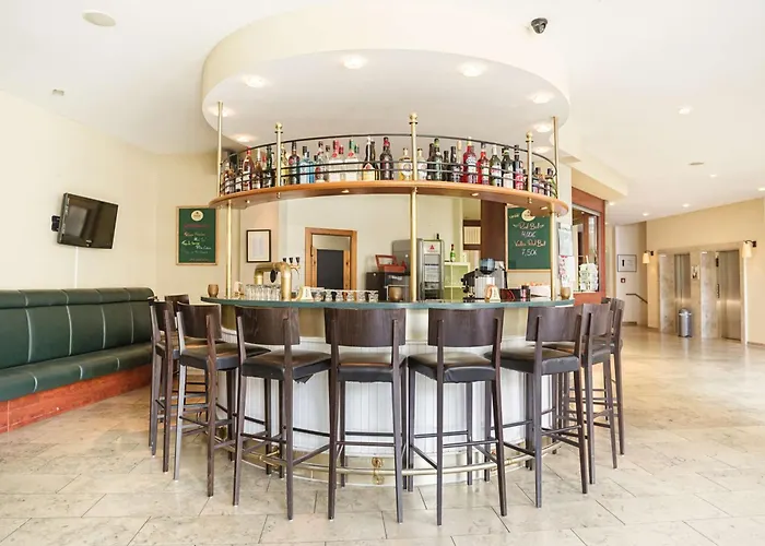 金郁金香克佩尼克北欧酒店 柏林