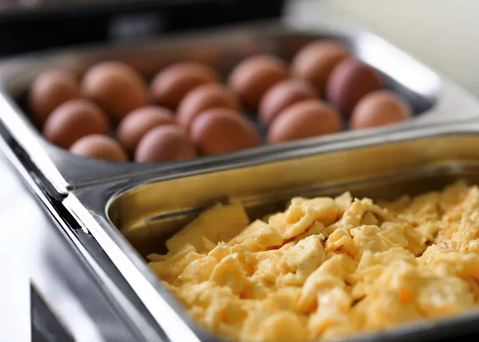 金郁金香克佩尼克北欧酒店 3*