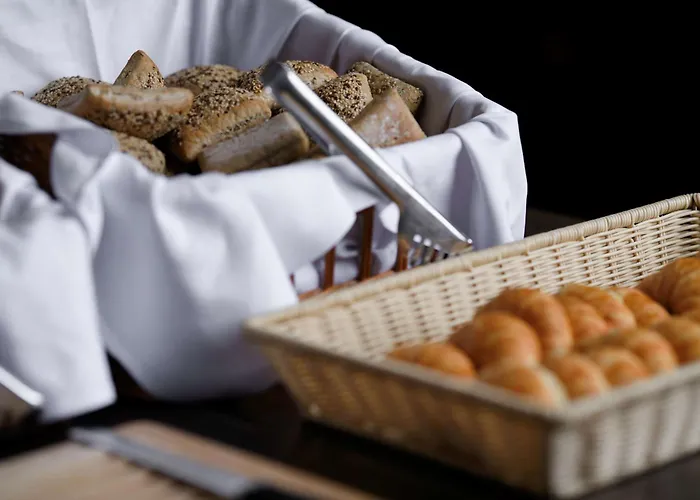 金郁金香克佩尼克北欧酒店 柏林