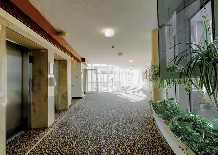 金郁金香克佩尼克北欧酒店 酒店 柏林