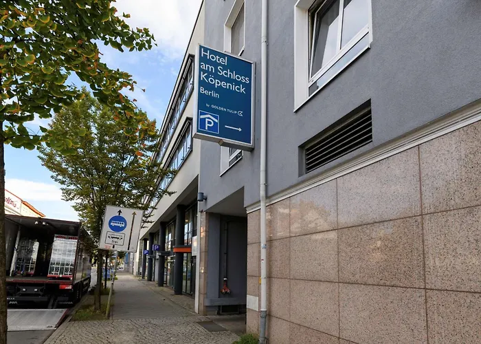 酒店 金郁金香克佩尼克北欧酒店 柏林