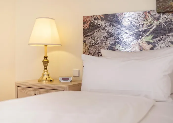 Am Schloss Koepenick By Golden Tulip 3*