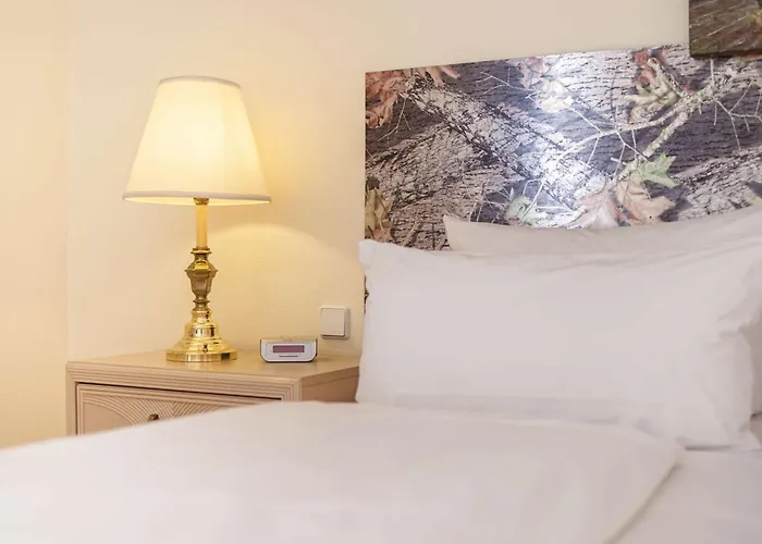 Am Schloss Koepenick By Golden Tulip Hotel Berlin